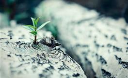 Pandora占星小巫2021年9月星座运势