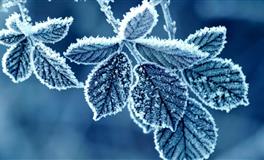 2021年底前天蝎座如何提升能量变好运！