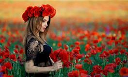 郑博士生肖兔每周运势（10月4日—10日)