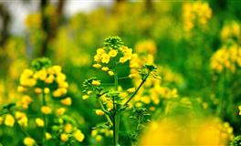 摩羯座男“不爱你”时出现的举动