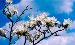 Pandora占星小巫处女座一周运势（9.17-9.22）