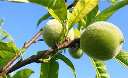 艾菲尔白羊座2021年10月运势