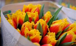 海百合双鱼座一周运势（9.20~9.26）