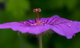 李云天每日生肖运势2021年9月28日