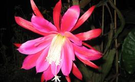 李云天天秤座一周运势9.20-9.26