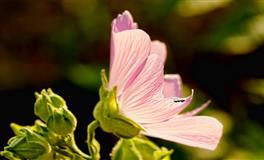 李云天生肖狗一周运势10.4-10.10