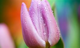 李云天金牛座一周运势9.20-9.26