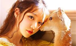 2021年10月底之前，哪些星座的求职运特别好