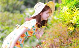 郑博士生肖猪一周怀孕指数预报(10.25-10.31)