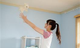 杨清华生肖猴一周运势10.11-10.17