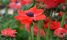 玛法达白羊座一周运势（10.27-11.2）