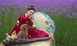 秦阳明2021年11月生肖运势