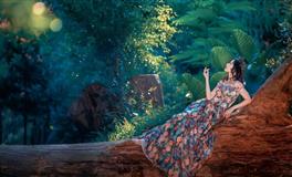 竹猫星球双子座一周塔罗运势10.18-10.24