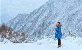 秋末冬初，生肖猴【财运发展】关键提醒