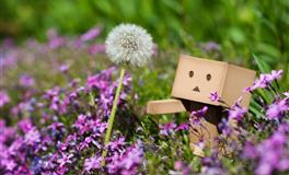 艾菲尔射手座一周运势10.4-10.10