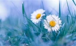 Hint占星处女座一周运势10.18-10.24