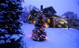 竹猫星球巨蟹座一周塔罗运势10.25-10.31