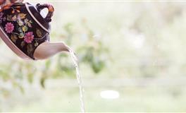 生肖羊的宿命对象