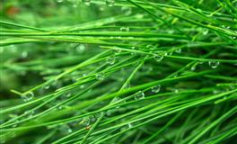 董易林生肖鼠2022壬寅虎年感情运