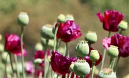 吉特双鱼座一周运势10.25-10.31