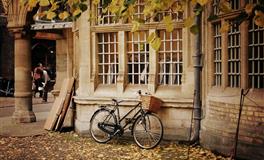 竹猫星球水瓶座一周塔罗运势10.4-10.10