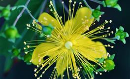 佩妮处女座每周占星运势10.25-10.31