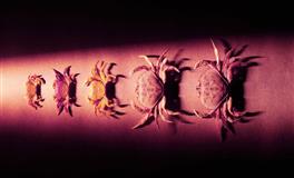 判答占星天秤座一周运势（10.18-10.24）