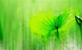 乔治娅处女座本周运势10.18-10.24