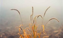 百变巫女天蝎座2021年10月运势