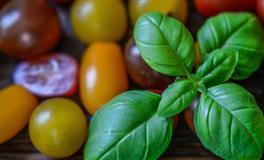 傅子绮处女座本周运势10.21-10.27