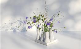 竹猫星球白羊座一周塔罗运势11.1-11.7