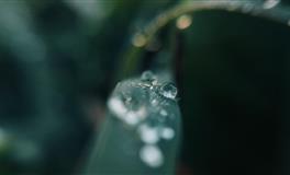 静电鱼天秤座每周运势（10.11-10.17）