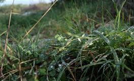 百变巫女狮子座一周运势10.18-10.24