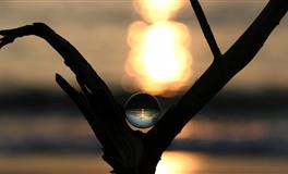 苏珊米勒一周星座运势（10.4-10.10）