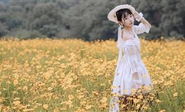 百变巫女射手座一周运势（11.8-11.14）