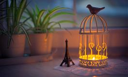 Kiddoの星运魔羯座一周运势（2021.11.22-11.28）