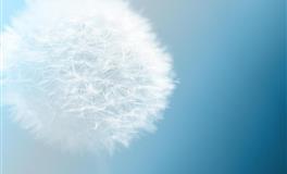 静电鱼双鱼座每周运势（11.22-11.28）