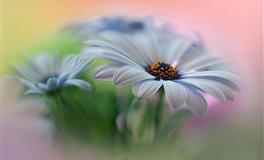 道不精Athena处女座一周运势（11.1-11.7）