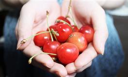 静电鱼双鱼座每周运势（11.8-11.14）