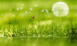 APP白羊座每周运程(11.15-11.21)