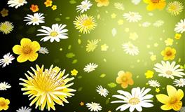 熊神进生肖狗一周运势（11.8-11.14）