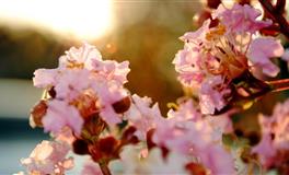 十二星座控制欲最强TOP3