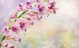 蒂姆处女座一周运势(11.14–11.20)