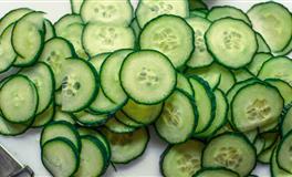 Lunita双鱼座一周运势(11.8– 11.14)