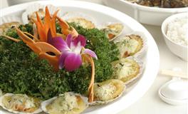 道不精Athena巨蟹座一周运势（11.8-11.14）