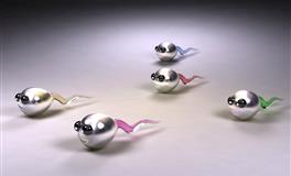 帕特里克白羊座一周爱情运势11.1-11.7