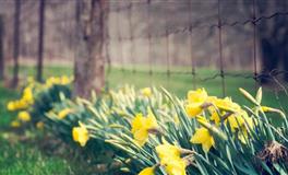 羲邑师姐生肖龙一周运势(11.29-12.5)