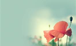 娜迪亚白羊座本周运势（11.22-11.28）