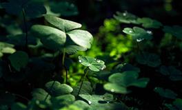 不懂处理感情问题，这四个星座凭本事单身，看看有你吗？