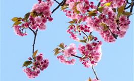 脾气臭不招人待见的三大星座，关键心眼还很坏，最欠揍